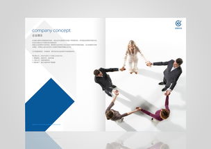 蓝色画册 企业形象策划的艺术与策略