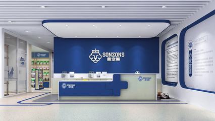 上海赛上品牌设计公司 企业形象策划的卓越之道