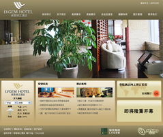 深圳企业形象设计专家 从CI策划到品牌重塑的全面解析